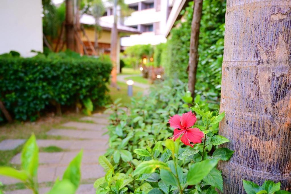 Narada Resort Hotel Sanya Pleasant Bay Luoyushangcun Esterno foto